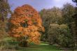 bad-salzhausen-herbst-o (1 von 1).jpg