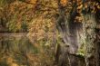 bad-salzhausen-herbst-q (1 von 1).jpg